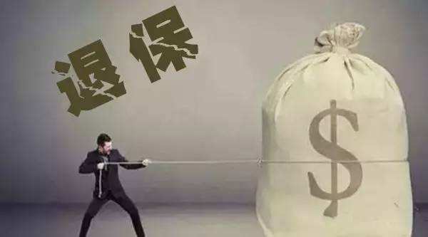 買(mǎi)的保險不想續保了能退嗎？