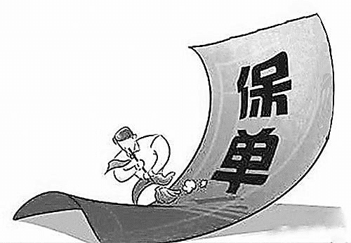 什么是保單？保單又有什么方法可以查詢(xún)