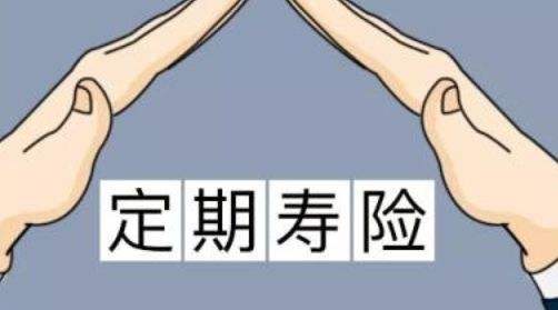 定期壽險適合什么人？