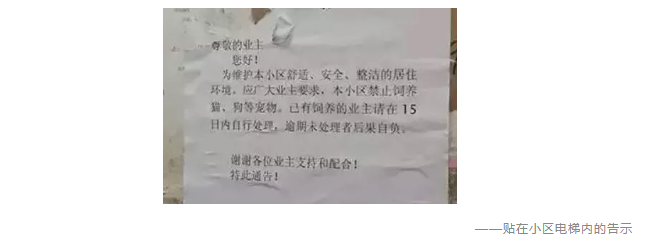 為什么不買(mǎi)保險就不讓養狗？