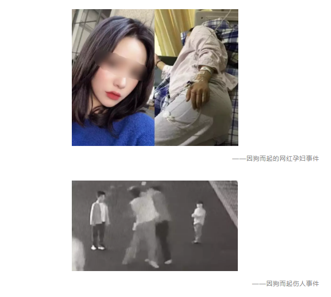 為什么不買(mǎi)保險就不讓養狗？
