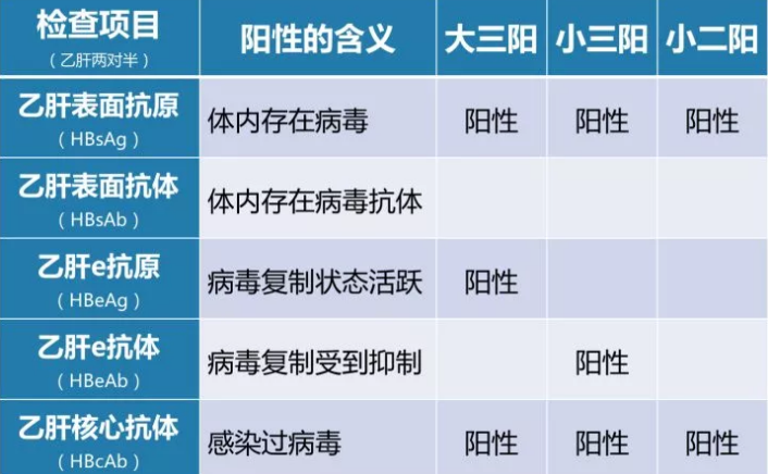乙肝病毒攜帶者應該如何正確投保？