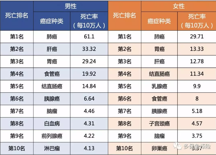 女性高發(fā)重疾怎么選？