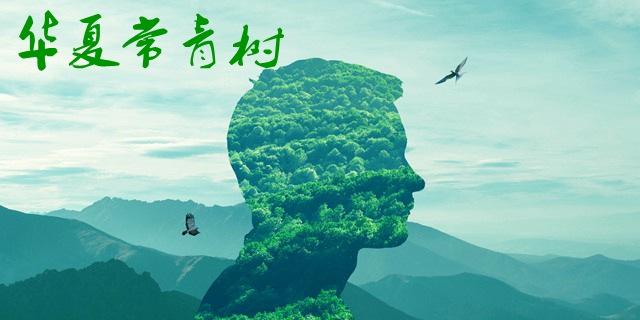 華夏常青樹(shù)哪個(gè)版本比較好？